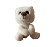 Kim Teddy Bear